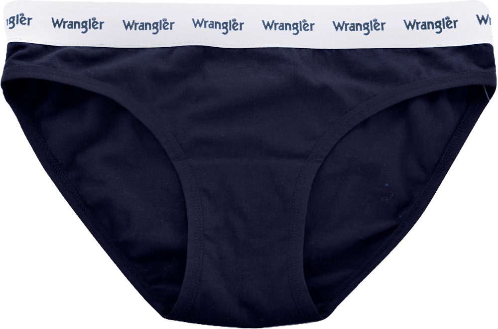 Buy Wrangler Womens Logo Briefs Twin-Pack (XCP2993504) Navy/Pink