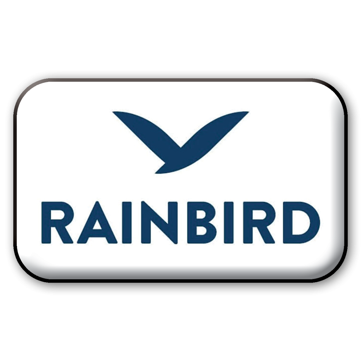 Rainbird beanie