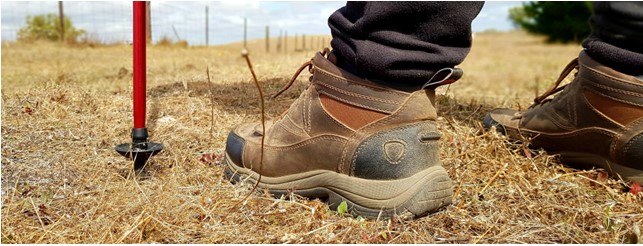 Hiking National Parks SA in Ariat Terrain Boots