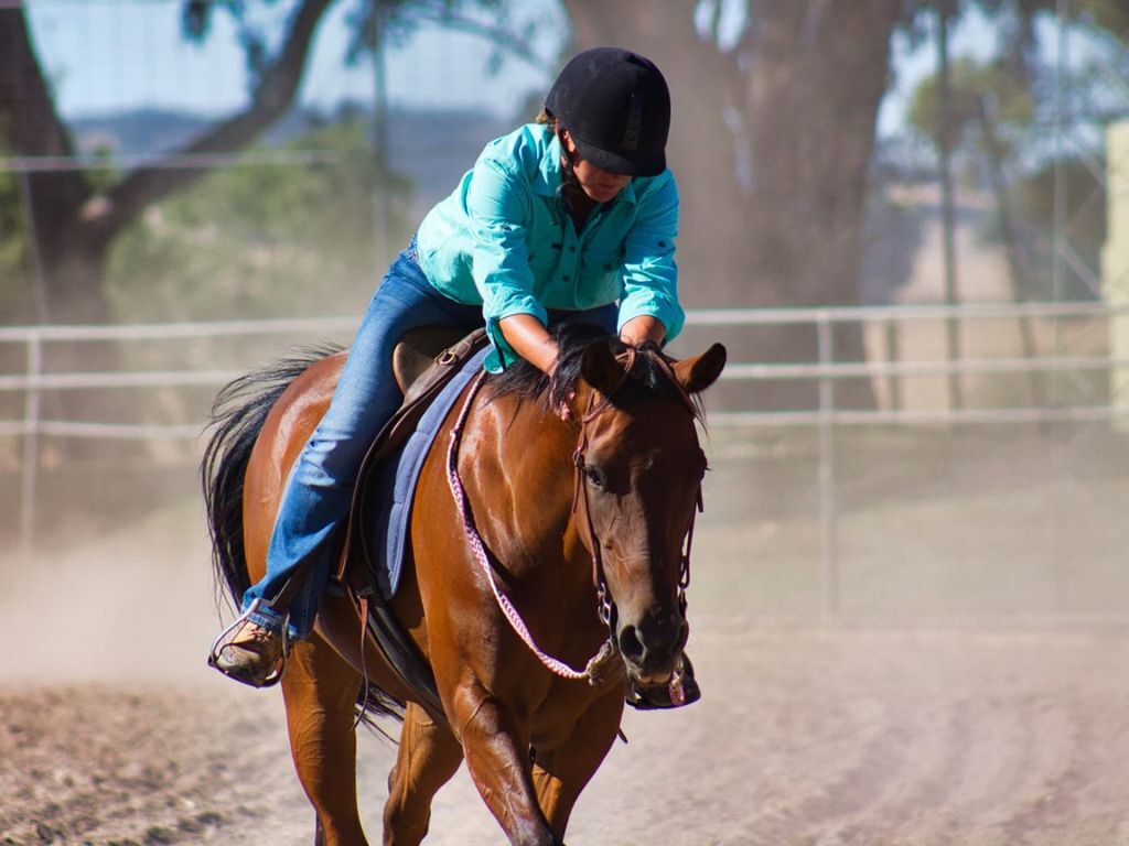 Cowgirl on horseback in paddock