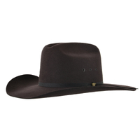 Pure Western Unisex Tornado Hat (PCP2004002) Dark Brown