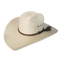 Stetson Ironbark Straw Hat (XIRONTRI) Tripilla