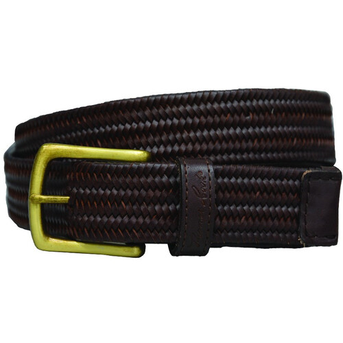 Thomas Cook Stretch Leather Belt (TCP1935BEL) Brown [SD]
