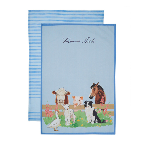Thomas Cook TC Tea Towel - 2 Pack (TCP2905TWL) Light Blue
