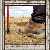 Hiking in Australia - How to Pick the Best Hiking Boot main image