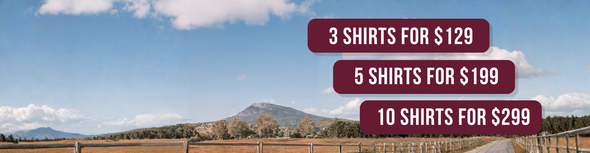 Ringers Western Work Shirt Bundle Deals