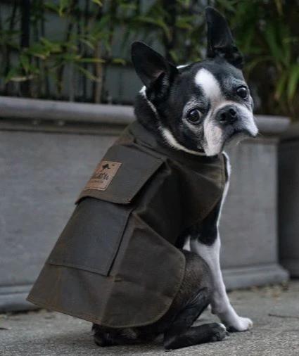 Jacaru Dog Coat (6510) Brown L (63cm)