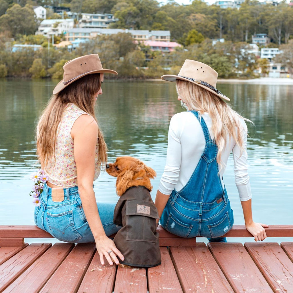 Jacaru Dog Coat (6510) Brown M 53cm