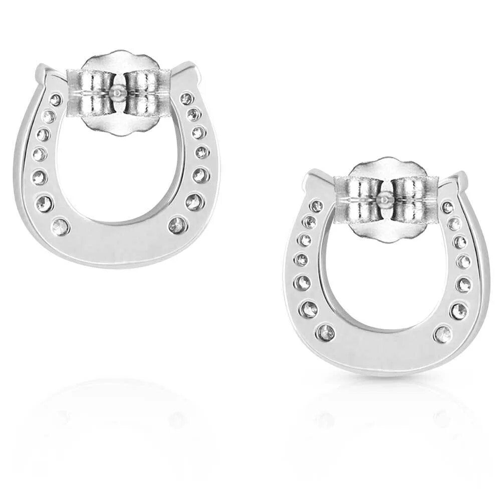 Montana Silversmiths Montana Earrings (ER5508)