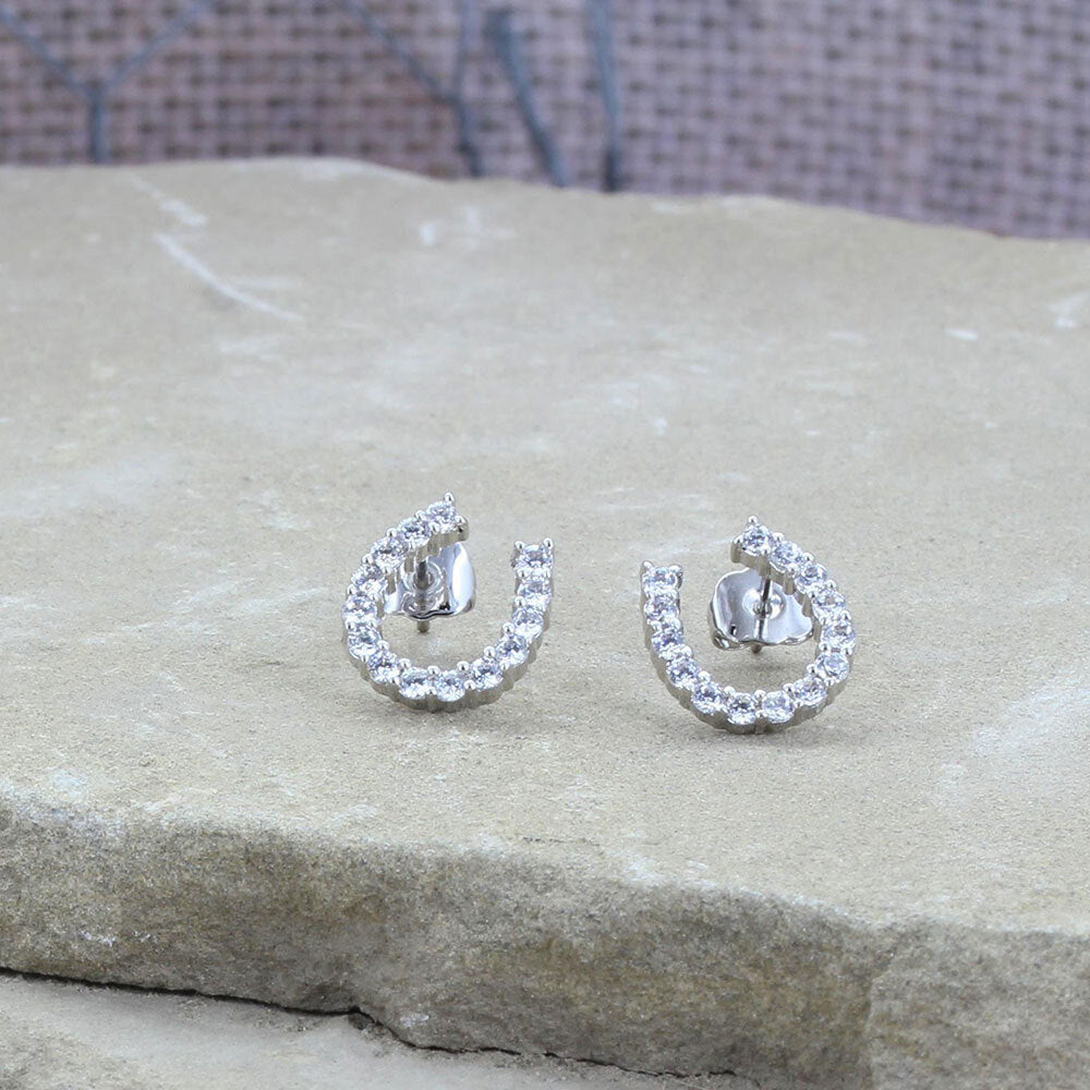 Montana Silversmiths Montana Tiny Rider Earrings (ER1251)