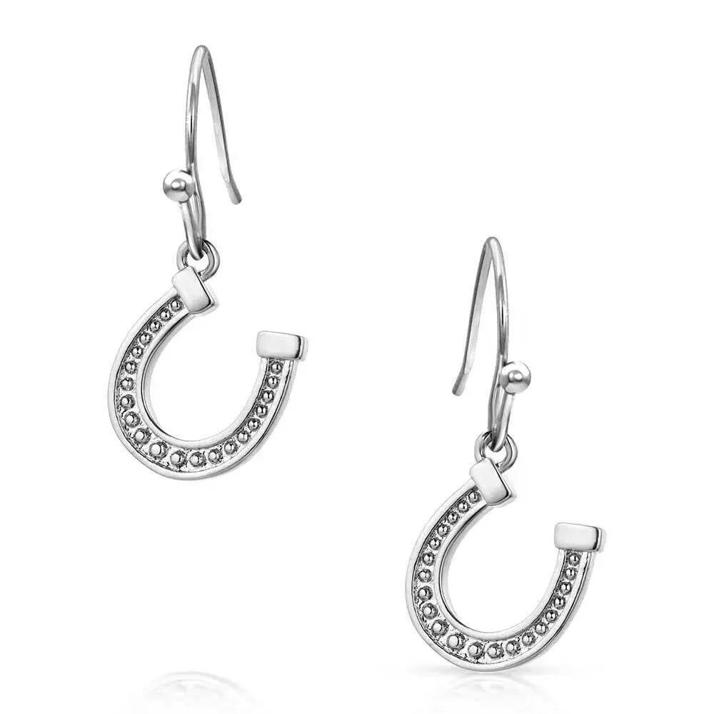 Montana Silversmiths Dainty Horseshoe Earrings (ER5941)