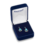 Montana Silversmiths Blue Rivers Turquoise Earrings (ER5958)