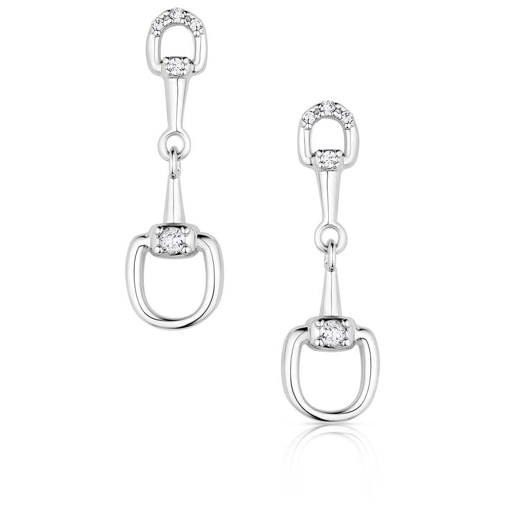 Montana Silversmiths Enjoy the Ride Earrings (QER6084)