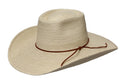 Sunbody Hats Reata III (HG45.R3) Natural/Brown