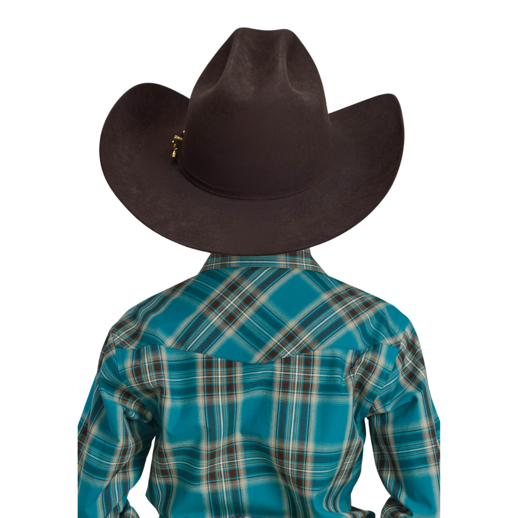 Roper Boys Amarillo Collection L/S Print (30278136) Plaid Green