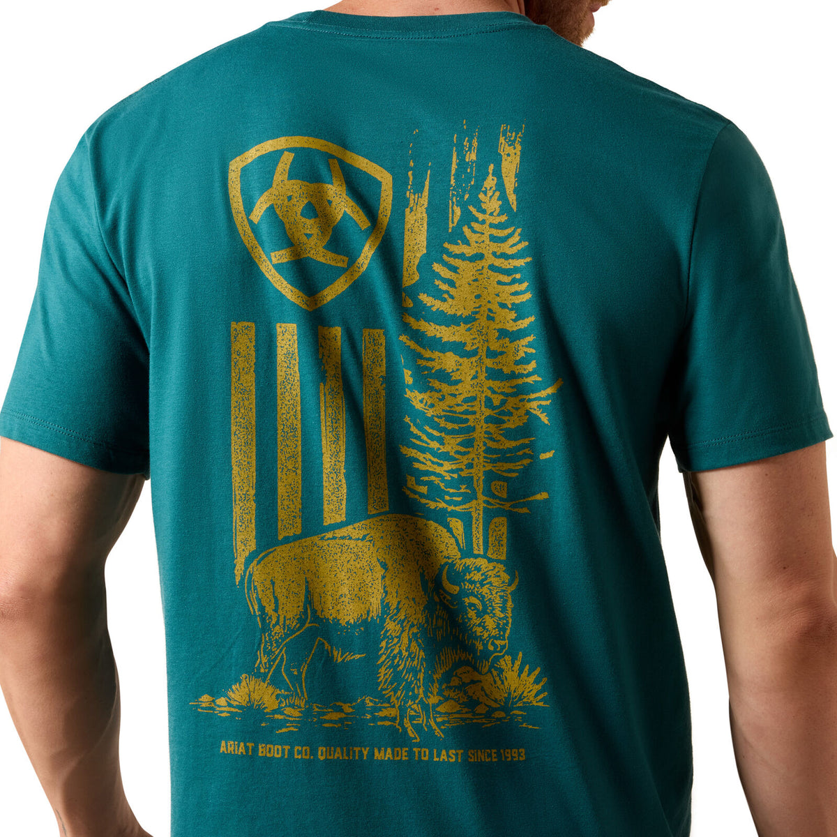 Ariat Mens Bison Wander Flag S/S Tee (10073412) Mediterranean