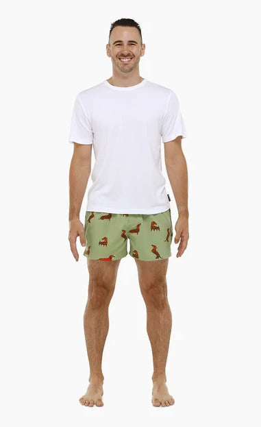 Bamboozld Mens Weiner Bamboo Boxer Shorts (BBW22UBSWEINER) Sage