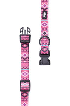 Pure Western Dogs Billie Dogs Collar (P4W2923CLR) Pink [SD]