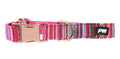 Pure Western Animals Bowie Collar (P5W2955CLR) Pink [SD]