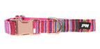 Pure Western Animals Bowie Collar (P5W2955CLR) Pink [SD]