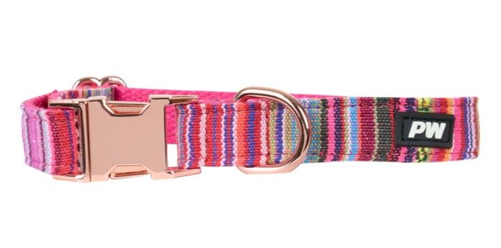 Pure Western Animals Bowie Collar (P5W2955CLR) Pink [SD]