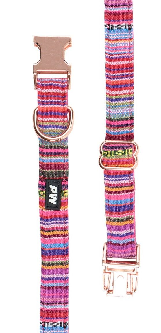 Pure Western Animals Bowie Collar (P5W2955CLR) Pink [SD]