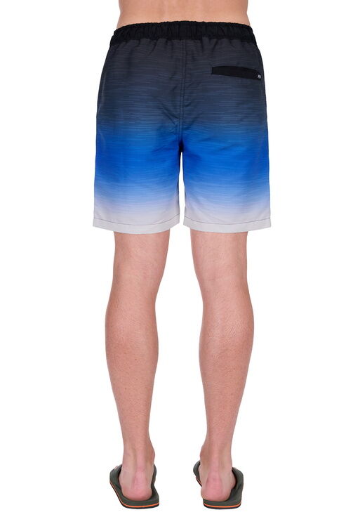 Pure Western Mens Phillip Boardshorts (P5S1302391) Black/Royal
