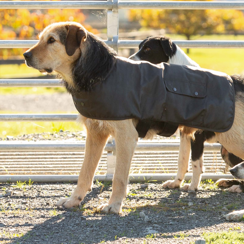 Styx Mill Oilskin Lined Dog Coat (23DC) Brown [GD]