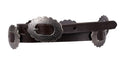 Wrangler Womens Eden Belt (X4S2965BLT) Dark Tan [SD]