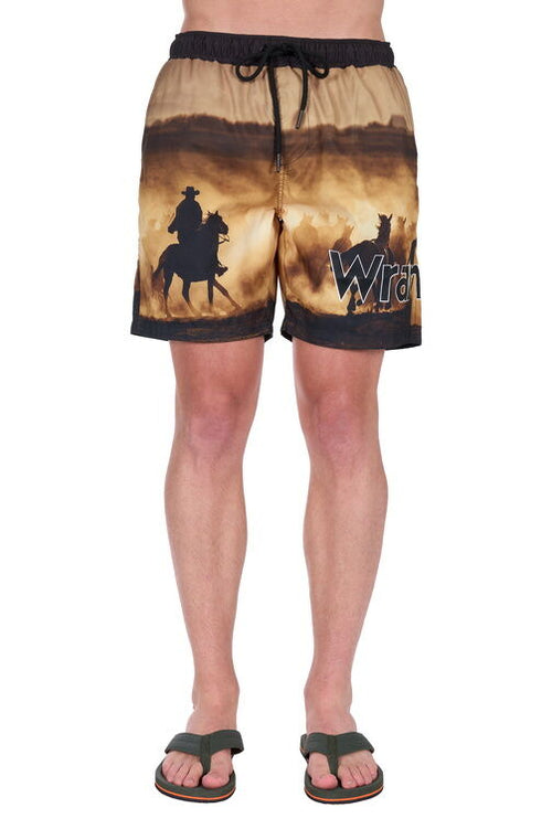 Board Shorts