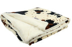 Pure Western Snuggle Blanket (PCP2970BKT) Cow Pattern