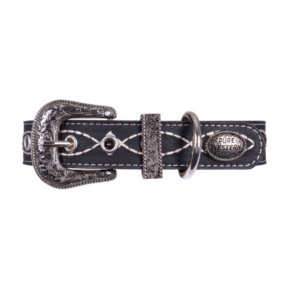 Pure Western Carey Dog Collar (P6S2937CLR) Black Rolled Up