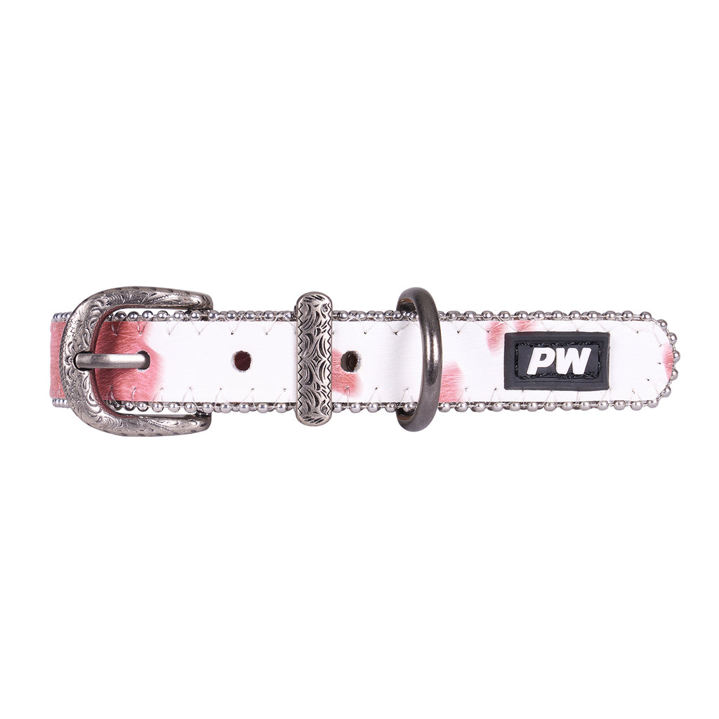 Pure Western Randy Dog Collar (P6S2936CLR) Pink