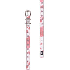Pure Western Randy Dog Collar (P6S2936CLR) Pink