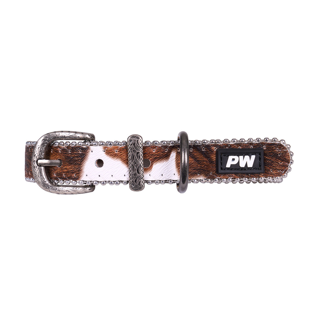 Pure Western Randy Dog Collar (P6S2936CLR) Tan