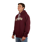 Ringers Western Mens Princeton Hoodie (123059RW) Washed Cabernet 3-4