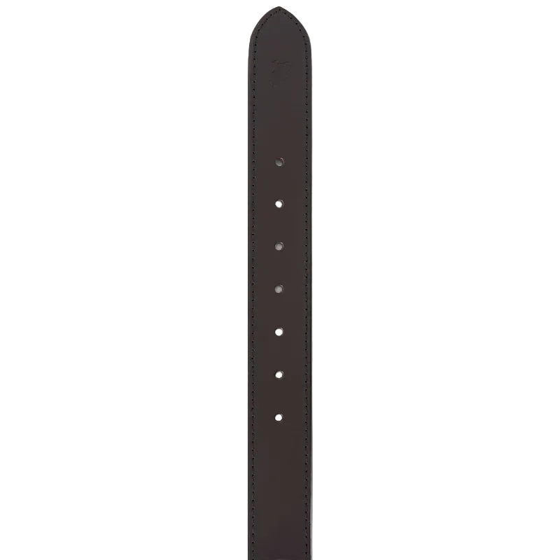Ringers Western  James Belt  (419222065)  Black/Brown