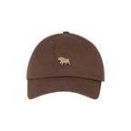 Brown cap with a small logo on a white background