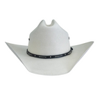 Stetson Oregon Straw Hat (XOREGIVR) White