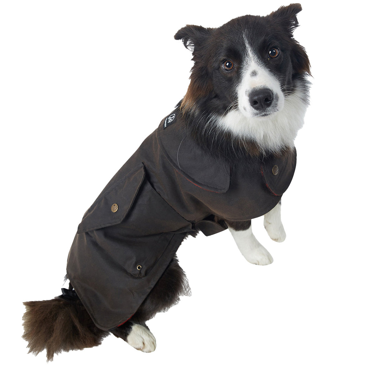 Swanndri Hunter Oilskin Dog Coat (SW13902) Brown