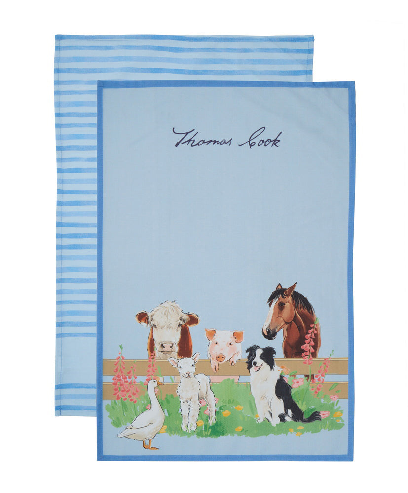 Thomas Cook TC Tea Towel - 2 Pack (TCP2905TWL) Light Blue