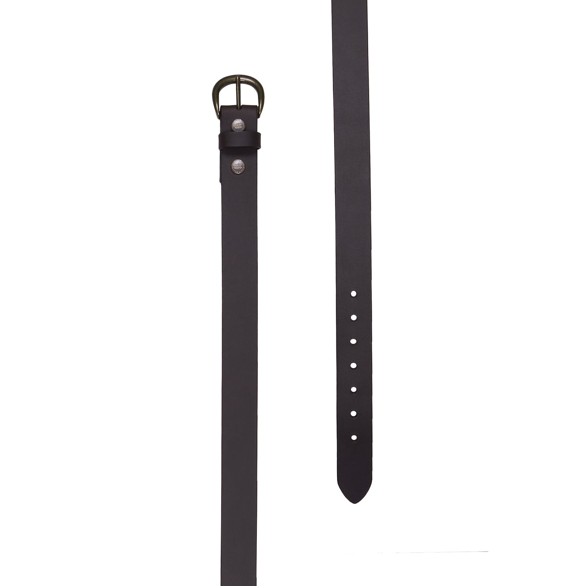 Thomas Cook Mens Robson Belt (T6S1991BEL) Chocolate