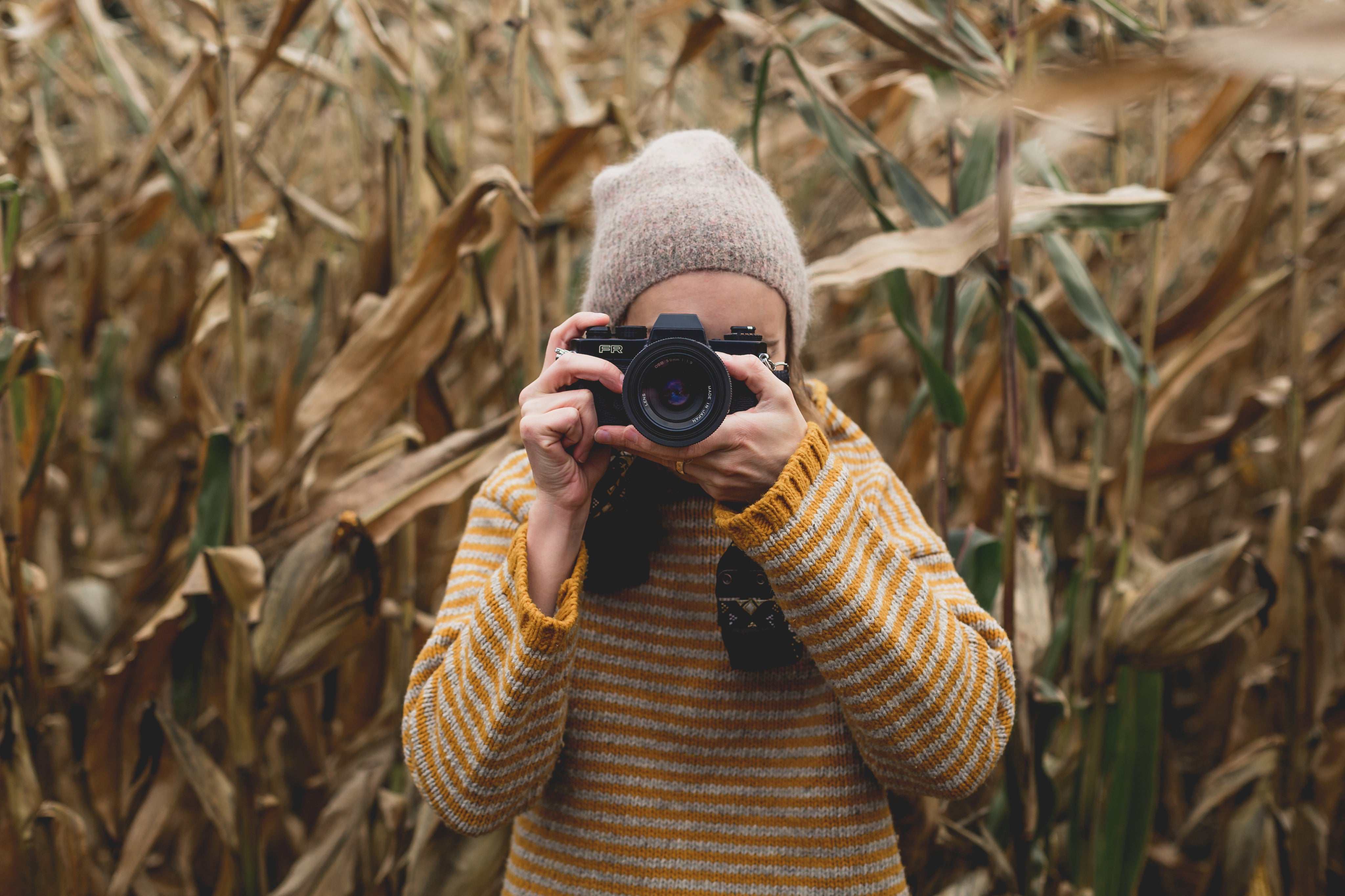 A person wearing a beige beanie and a yellow striped sweater stands in a cornfield, holding a camera up to their face, ready to take a photo.